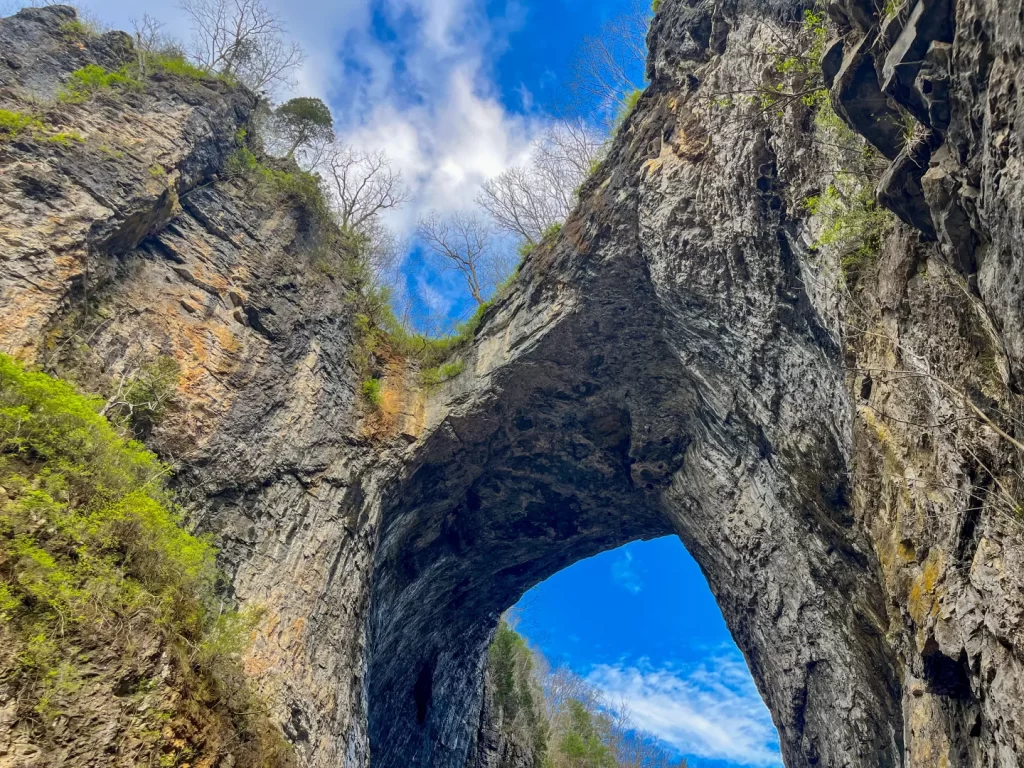 Natural Bridge State Park