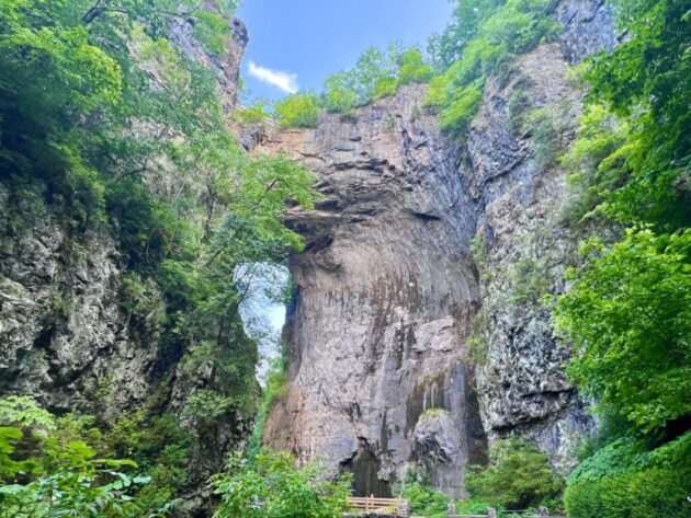Natural Bridge State Park