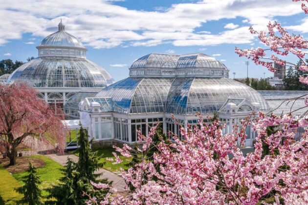 New York Botanical Garden