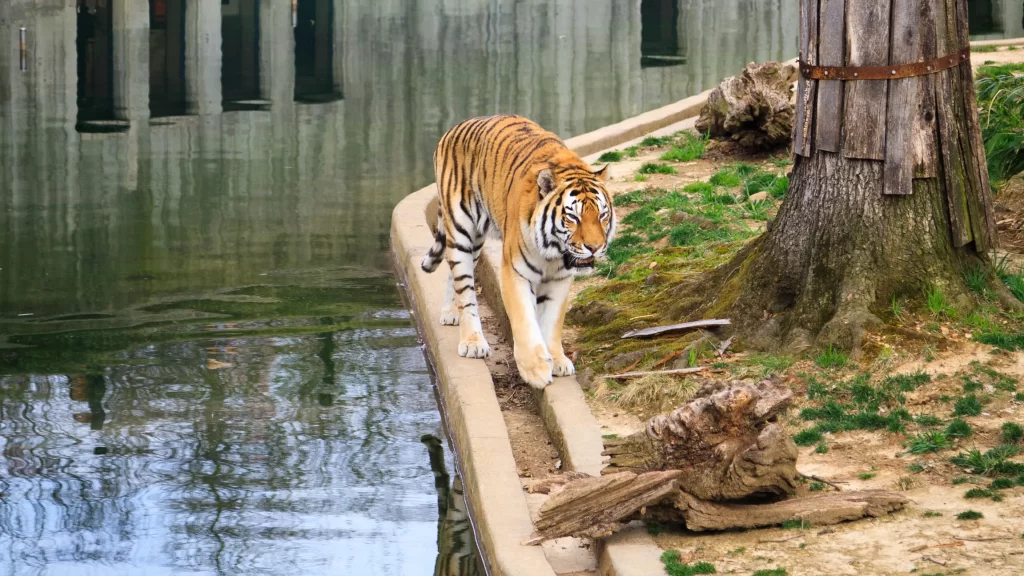 Smithsonian National Zoological Park
