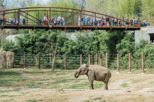 Smithsonian National Zoological Park