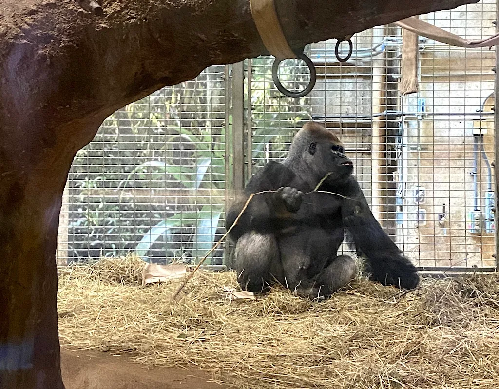 Smithsonian National Zoological Park