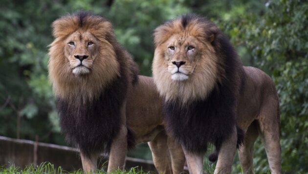 Smithsonian National Zoological Park