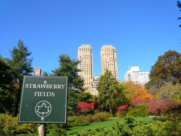 Strawberry Fields