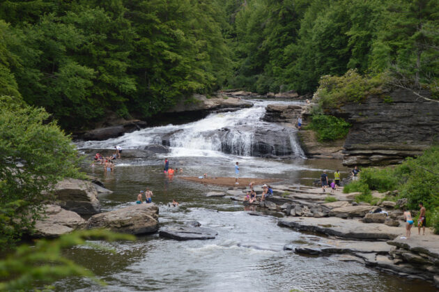 Swallow Falls State Park