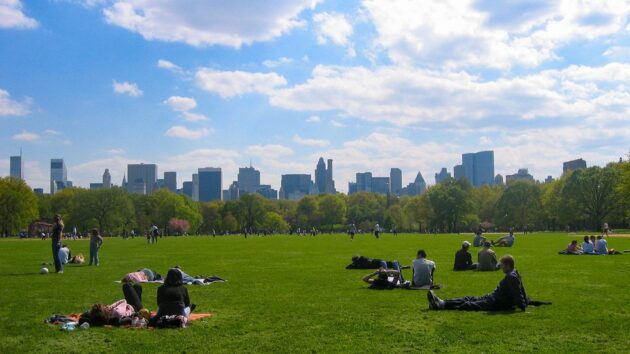 The Great Lawn