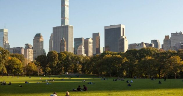 The Great Lawn