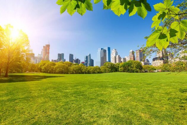 The Great Lawn