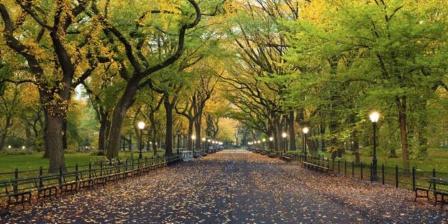 The Mall and Literary Walk