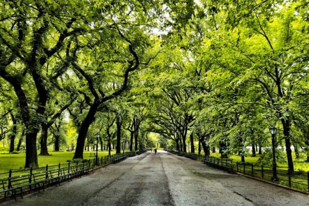 The Mall and Literary Walk