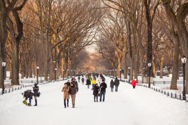 The Mall and Literary Walk