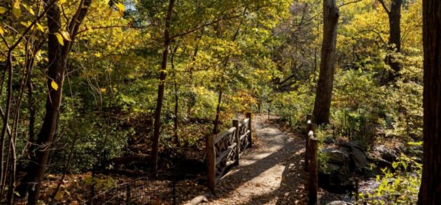 The Ramble