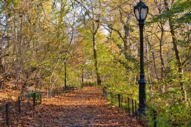 The Ramble