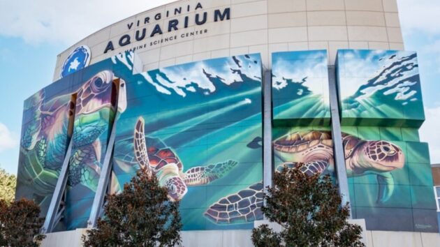 Virginia Aquarium & Marine Science Center ★