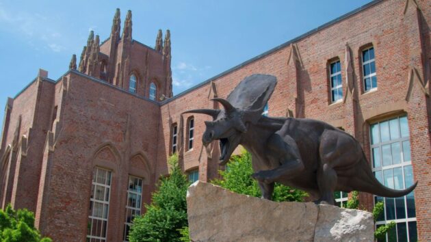 Yale Peabody Museum of Natural History