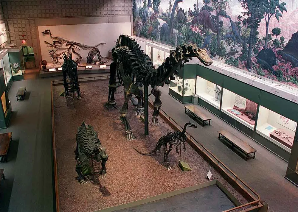 Yale Peabody Museum of Natural History