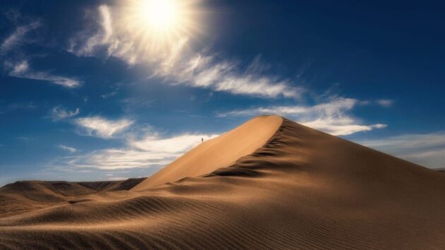 Bruneau Dunes State Park