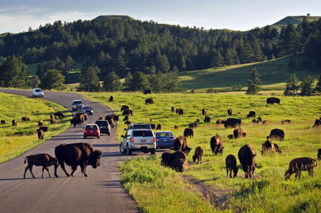 Custer State Park ★