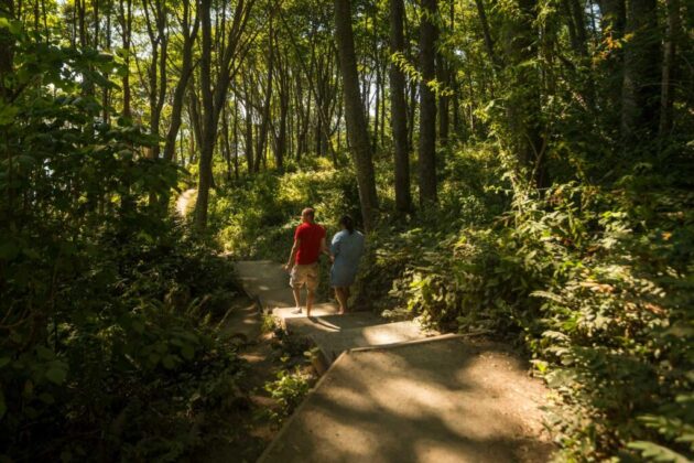 Discovery Park