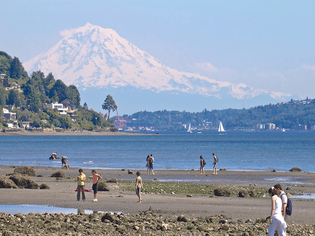 Discovery Park