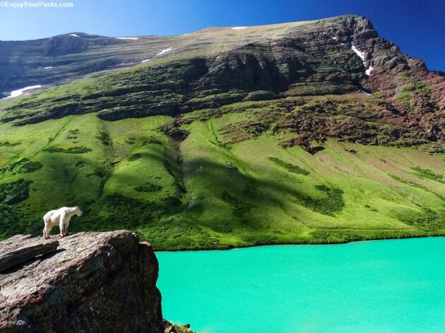 Glacier National Park