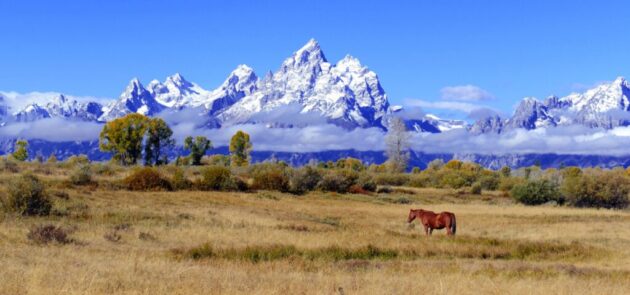 Grand Teton National Park