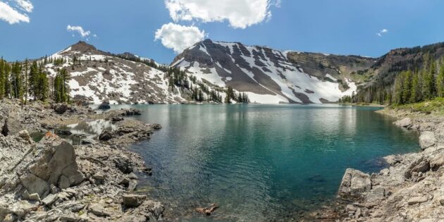 Medicine Bow-Routt National Forest