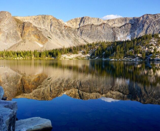 Medicine Bow-Routt National Forest