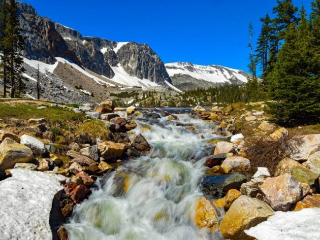 Medicine Bow-Routt National Forest