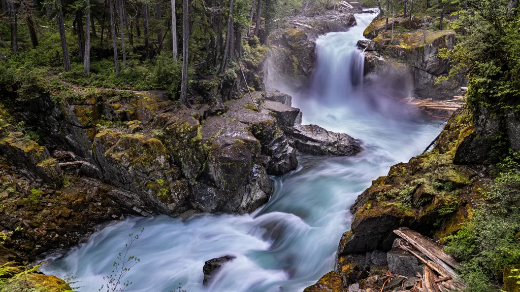 Mount Rainier National Park