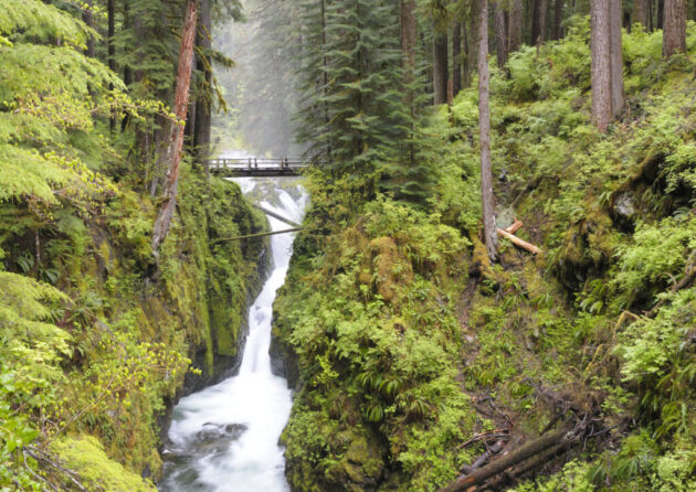 Olympic National Park