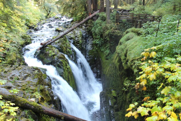 Olympic National Park
