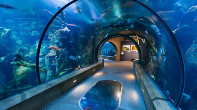 Oregon Coast Aquarium