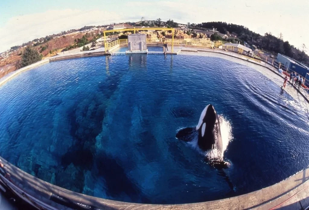 Oregon Coast Aquarium