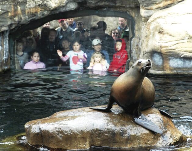 Oregon Coast Aquarium