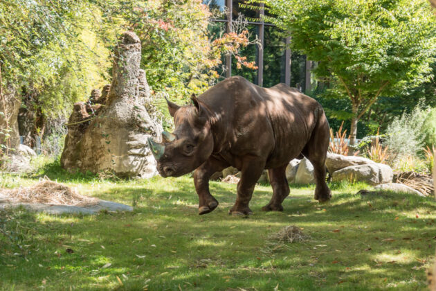 Oregon Zoo