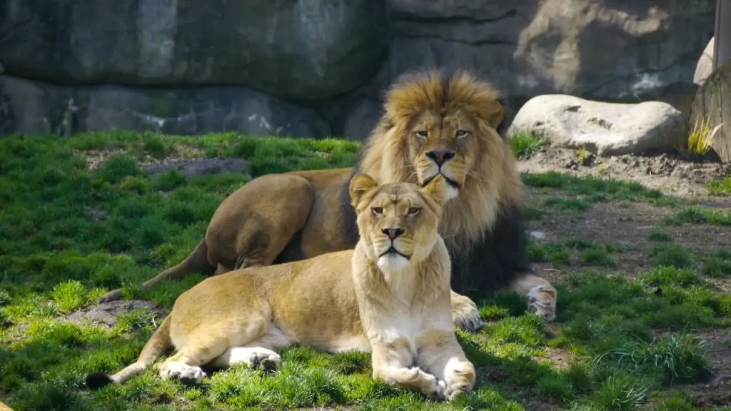 Oregon Zoo
