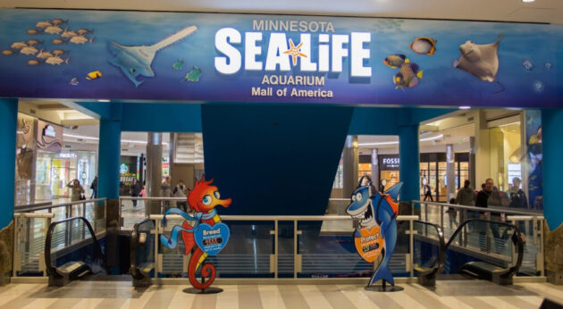 SEA LIFE Minnesota Aquarium
