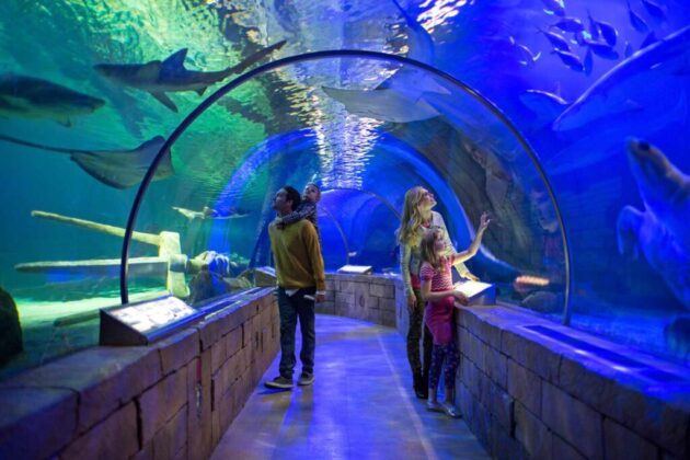 SEA LIFE Minnesota Aquarium
