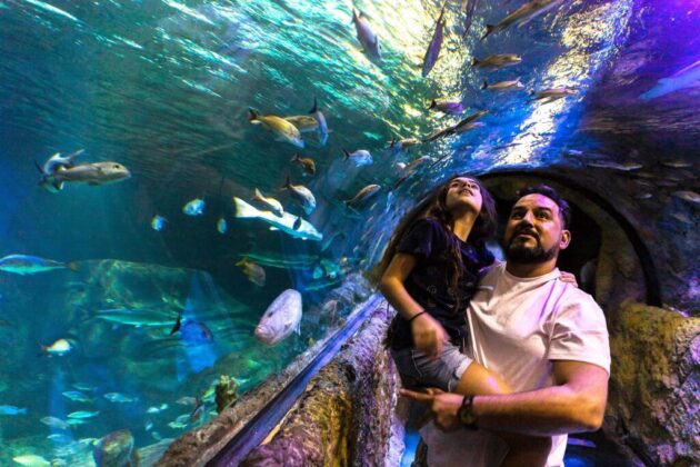 SEA LIFE Minnesota Aquarium