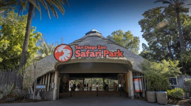 San Diego Zoo Safari Park