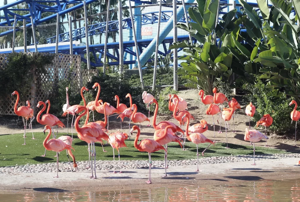 San Diego Zoo