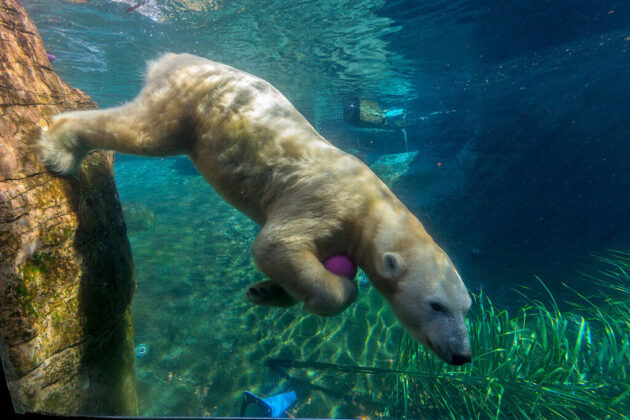 San Diego Zoo