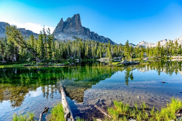 Sawtooth National Forest