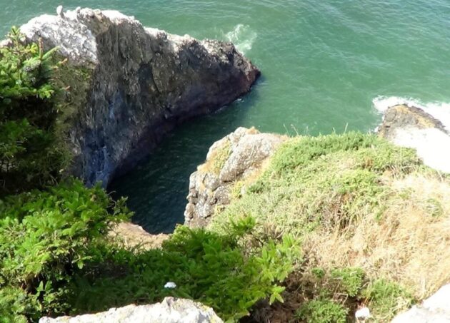 Sea Lion Caves