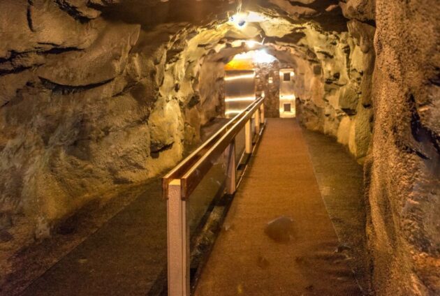 Sea Lion Caves