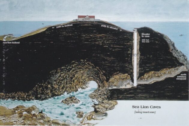 Sea Lion Caves