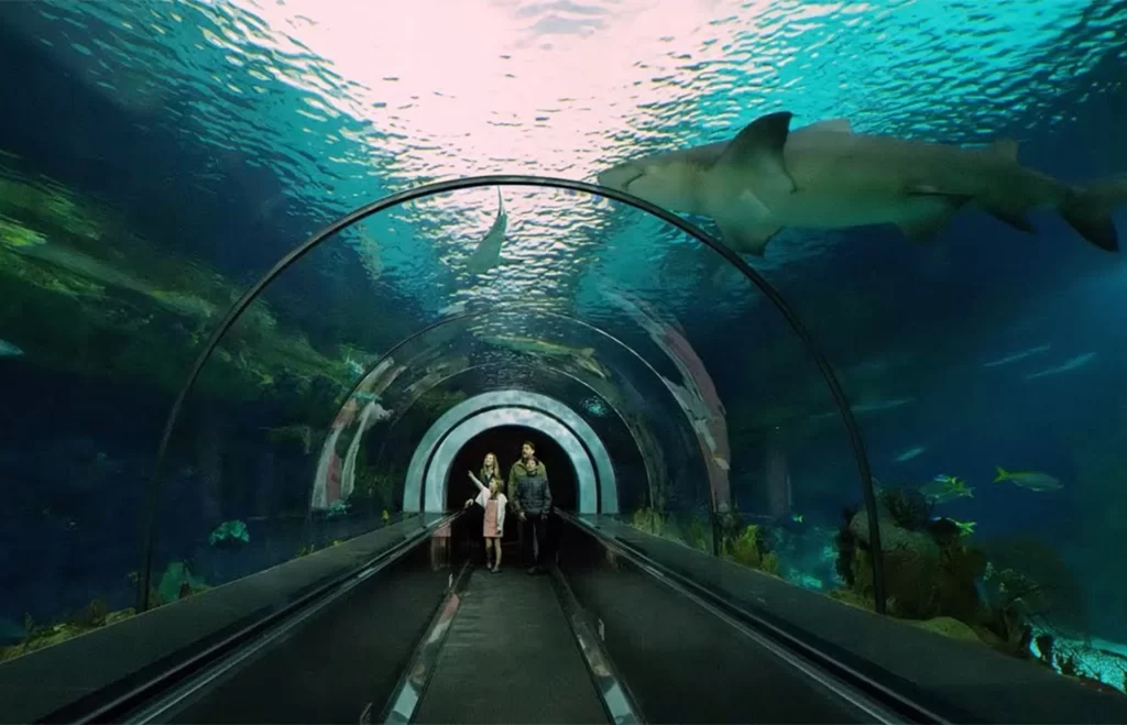 SeaWorld San Diego