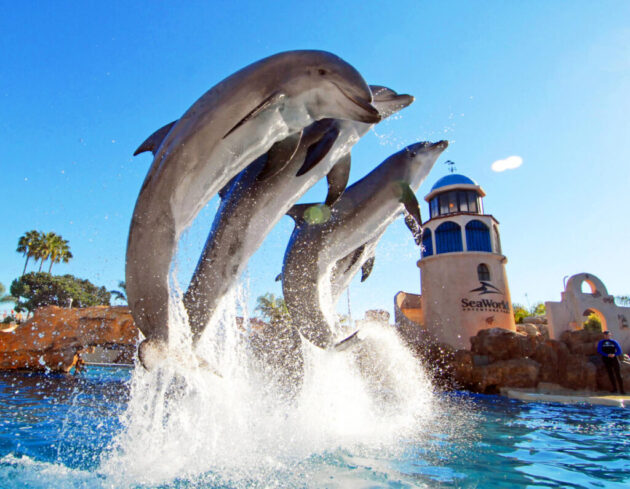 SeaWorld San Diego
