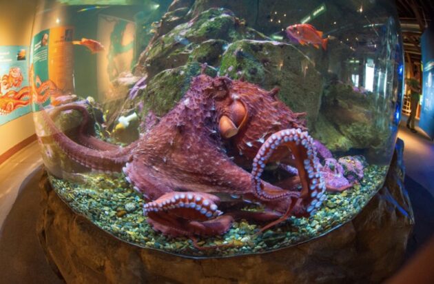 Seattle Aquarium